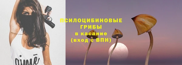 Альфа ПВП Магадан