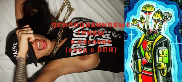 ПСИЛОЦИБИНОВЫЕ ГРИБЫ Липки