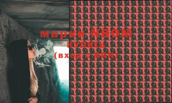 Альфа ПВП Магадан