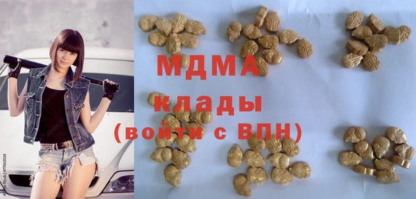 стаф Магас