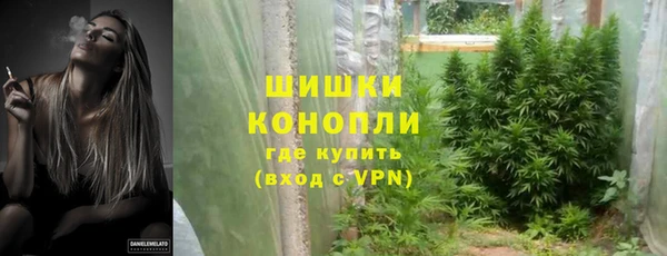 ПСИЛОЦИБИНОВЫЕ ГРИБЫ Липки