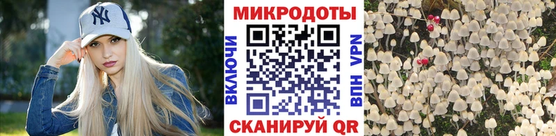 МЕГА   Томск  Галлюциногенные грибы Magic Shrooms 